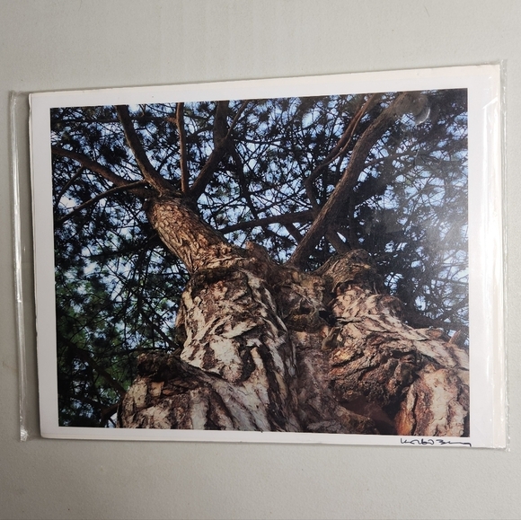 Korbin Berg Mount Horeb, WI Fine Art Photographer/Nature Print 8.5x11" - Picture 2 of 5